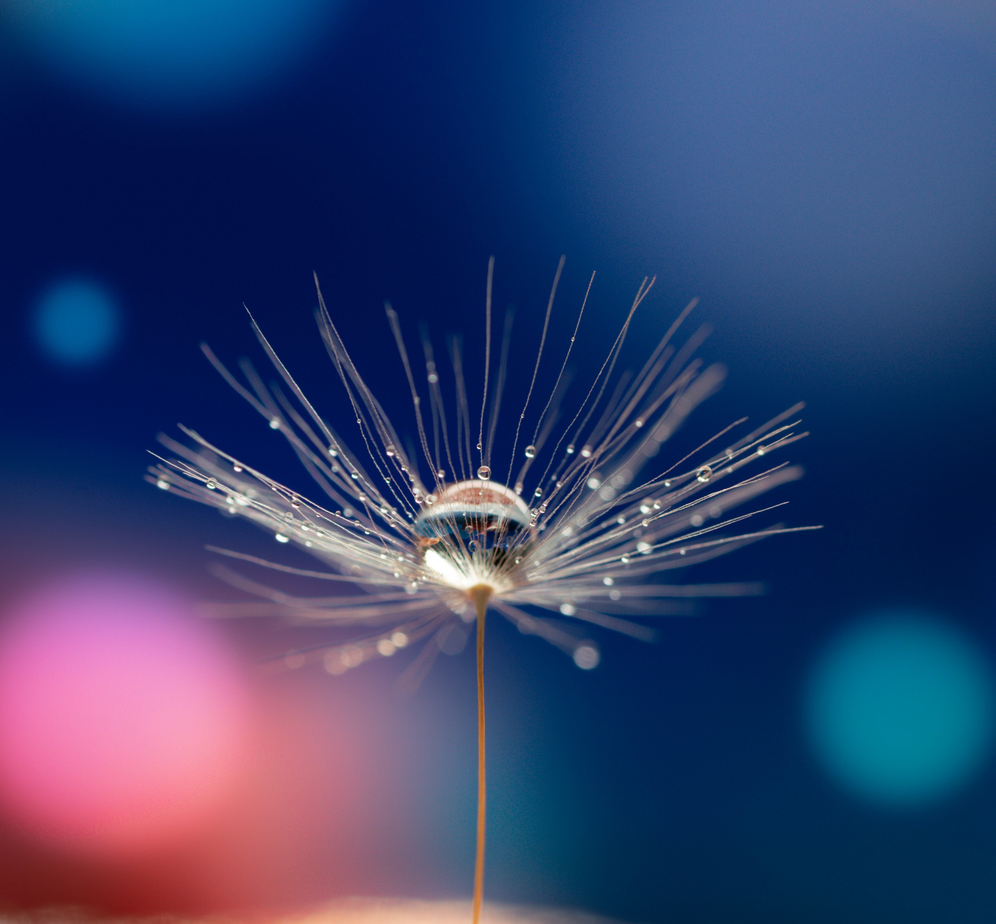 AI Strategy and Implementation