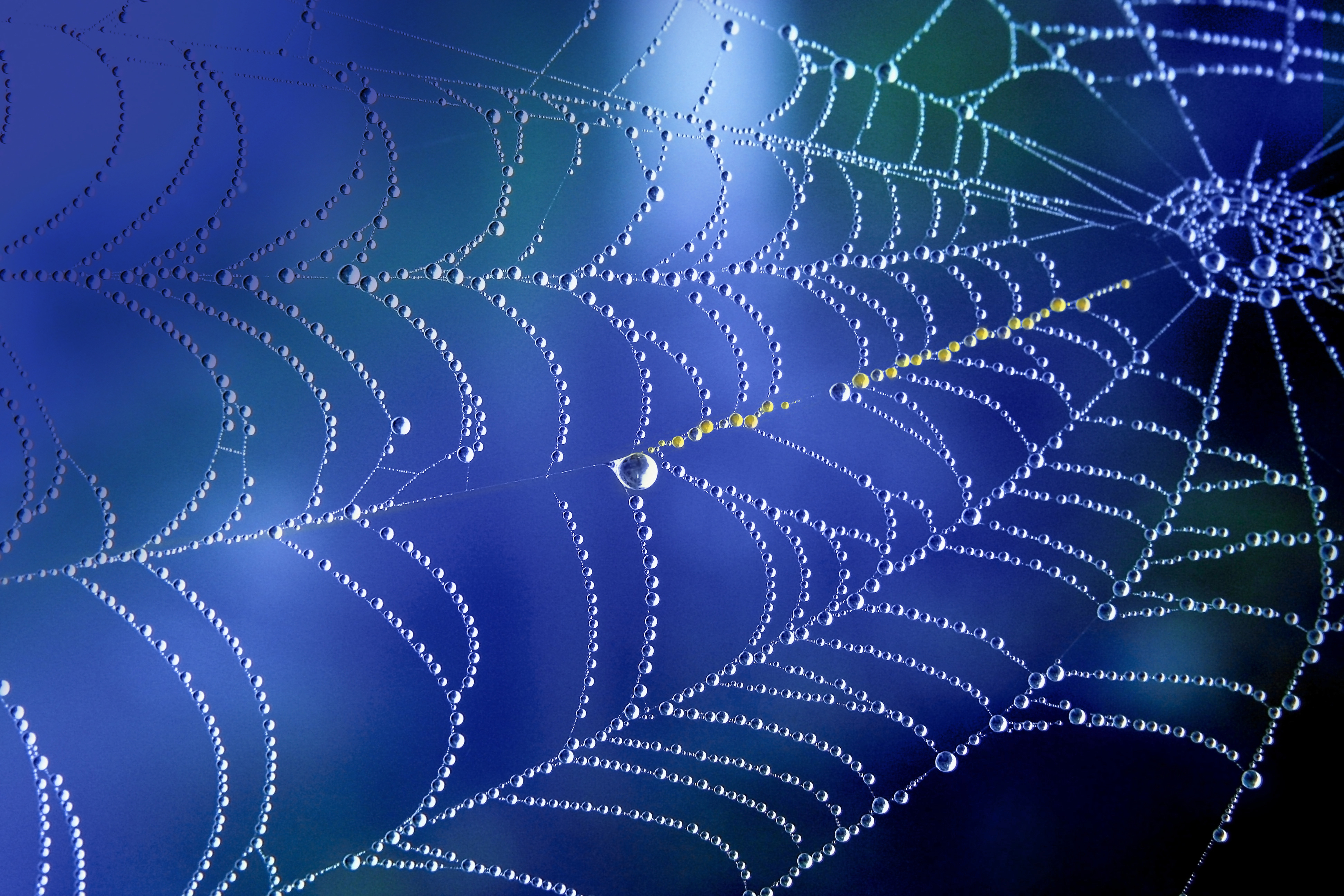 Coach Mentoring for ICF Credential