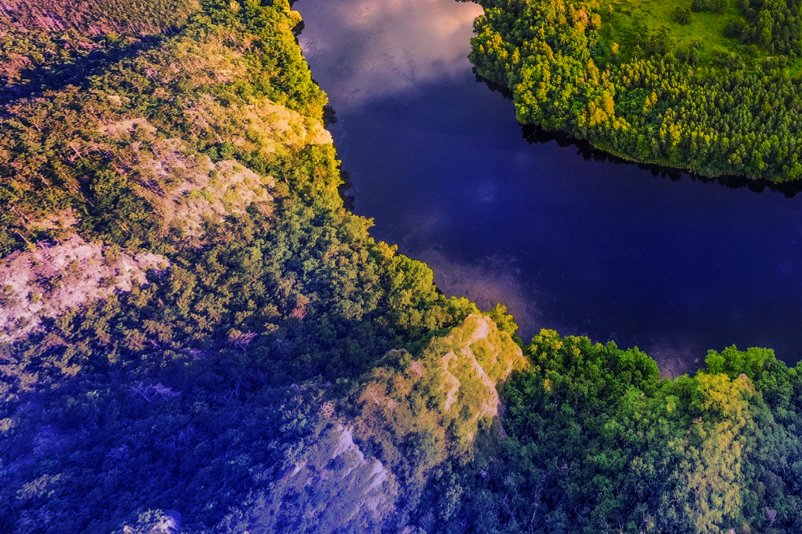 Digital Intelligence for Directors