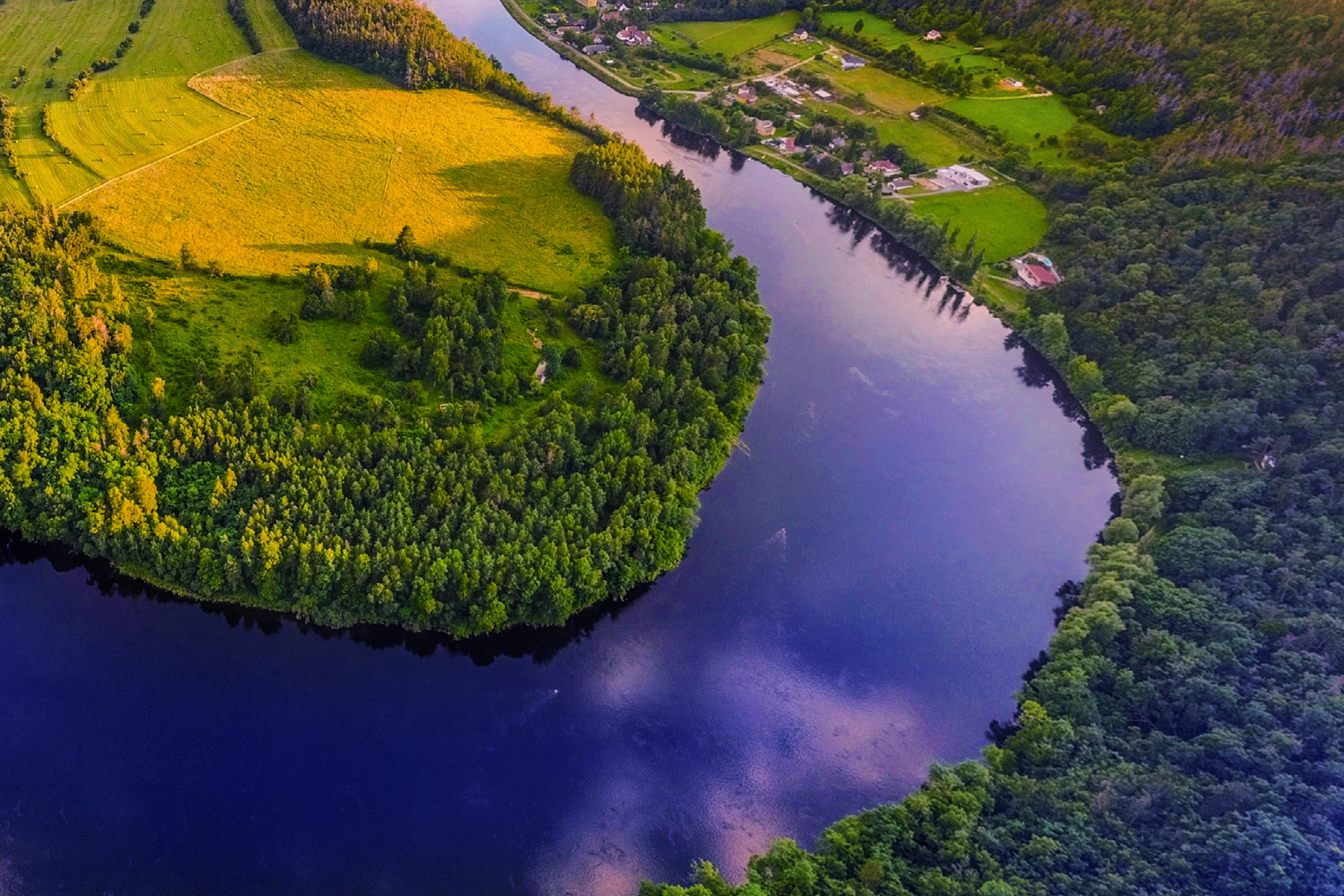 Fintech for Directors