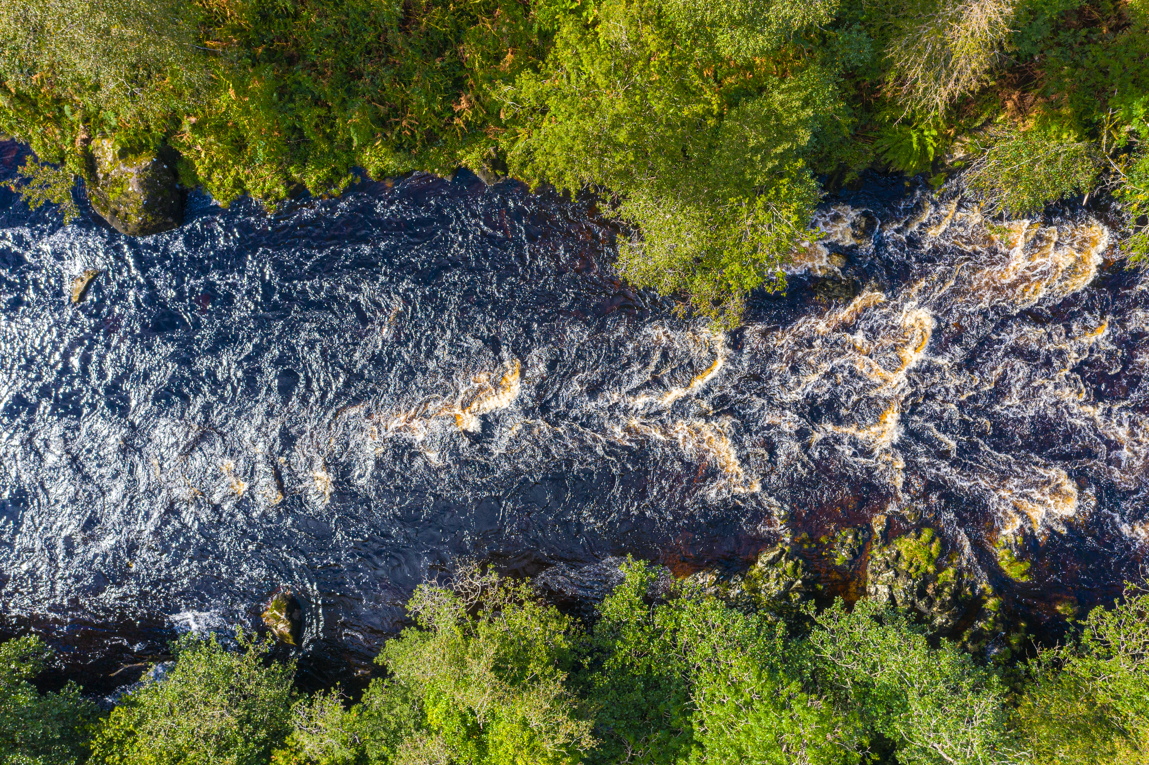 Flexible Executive MBA