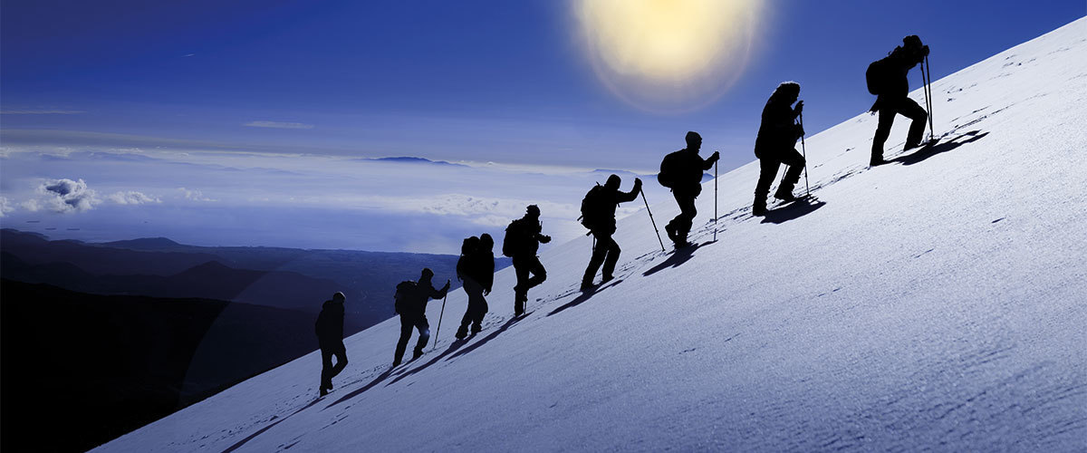 Henley Executive MBA