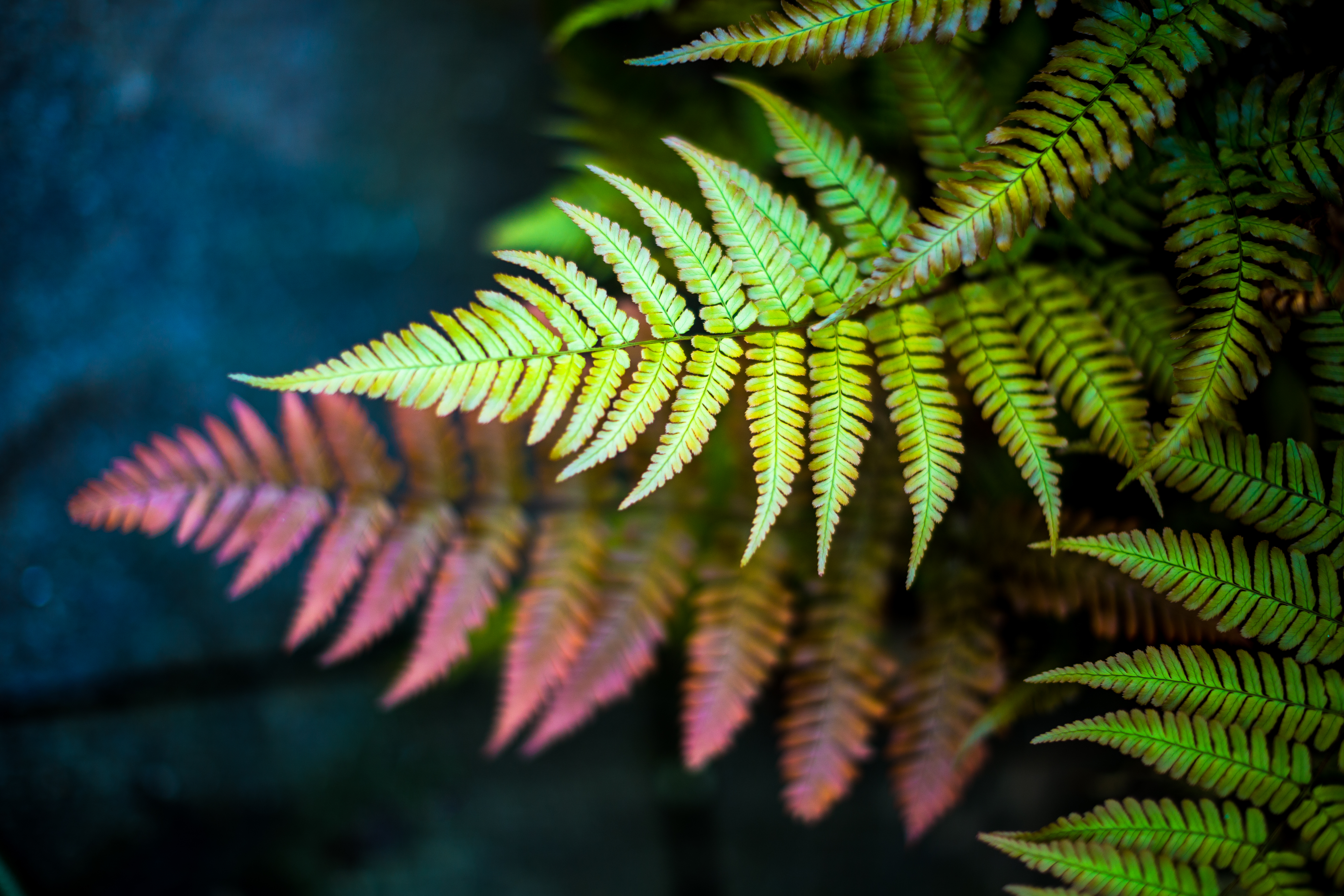 Online Panel Discussion - New Leadership Skills for Senior Leaders