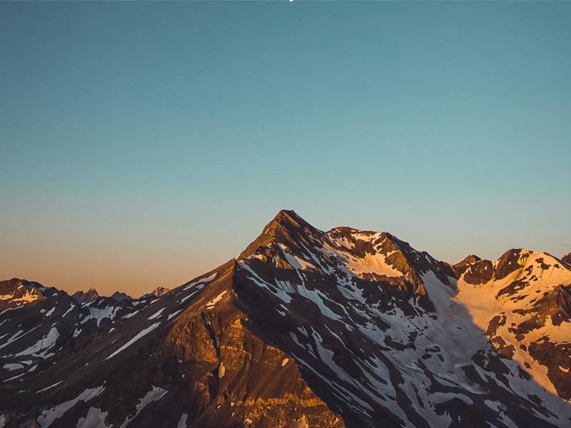 Leadership, Organisations, Behaviour and Reputation