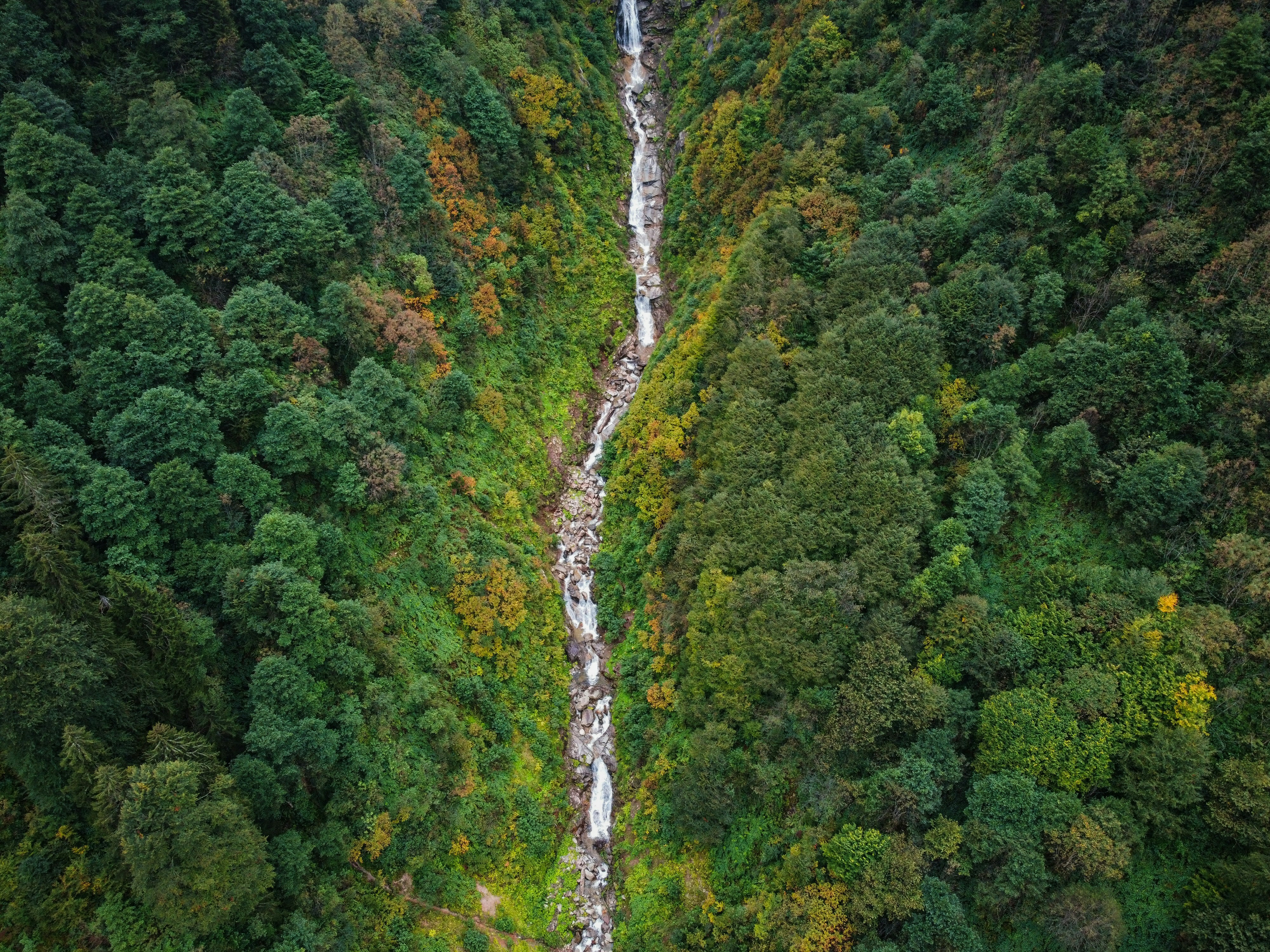 Henley Leading Sustainable Organisations Programme