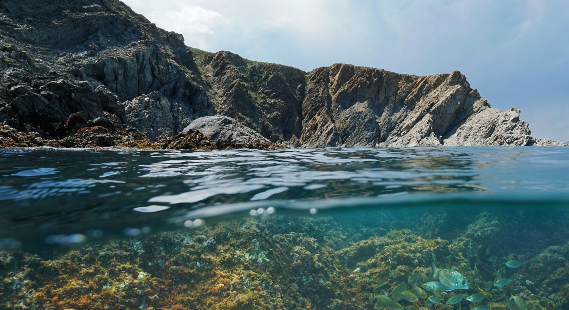 Henley Leading Change and Organisational Development Programme