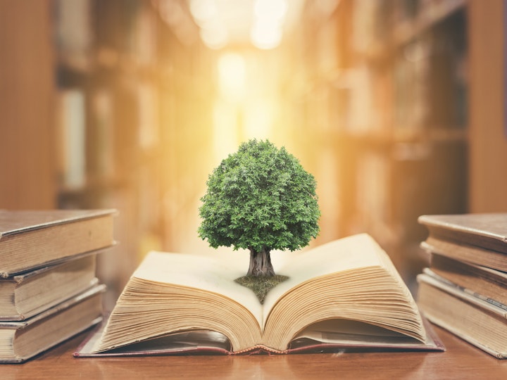 Narrative Coaching 9 June 2021