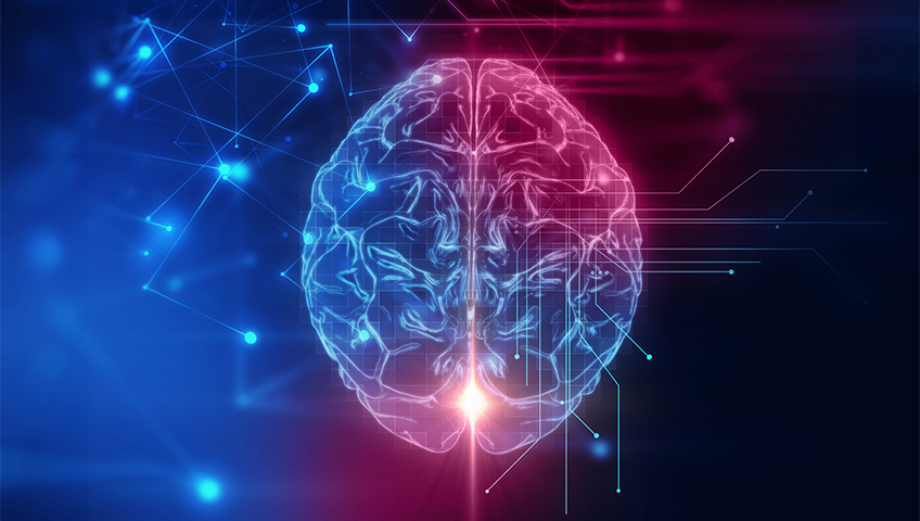 Doctoral opportunities