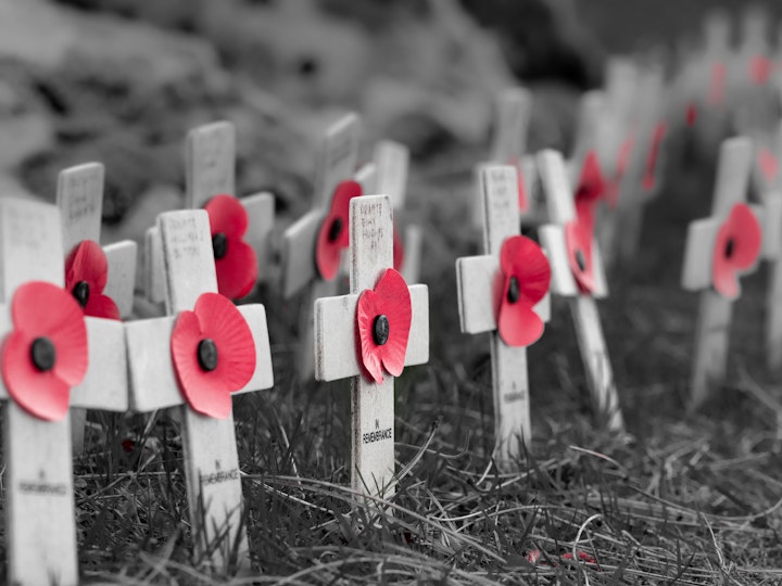 Poppies mtime20191108155751