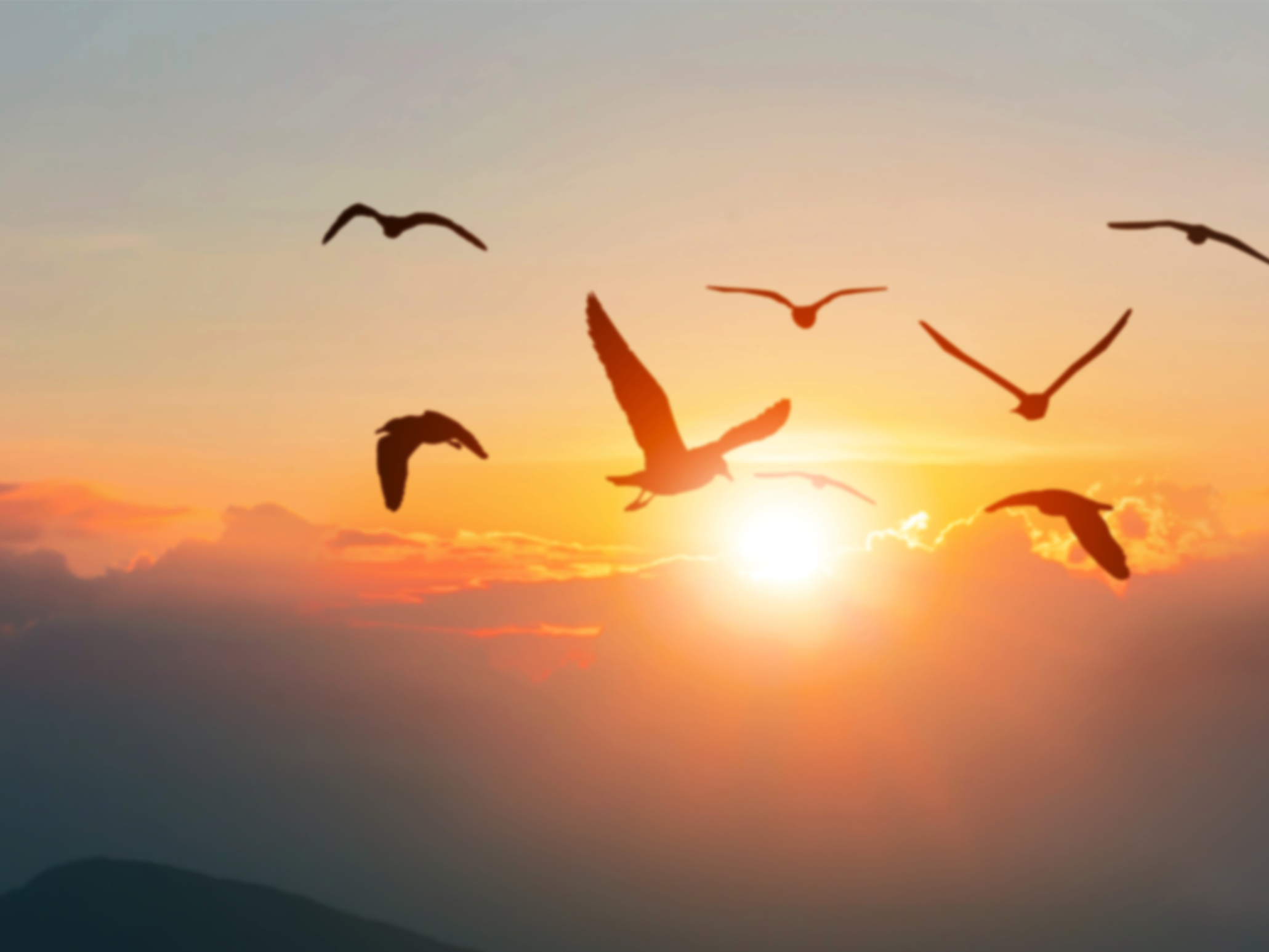 Senior Leader Apprenticeship | Business Administration (+MBA)