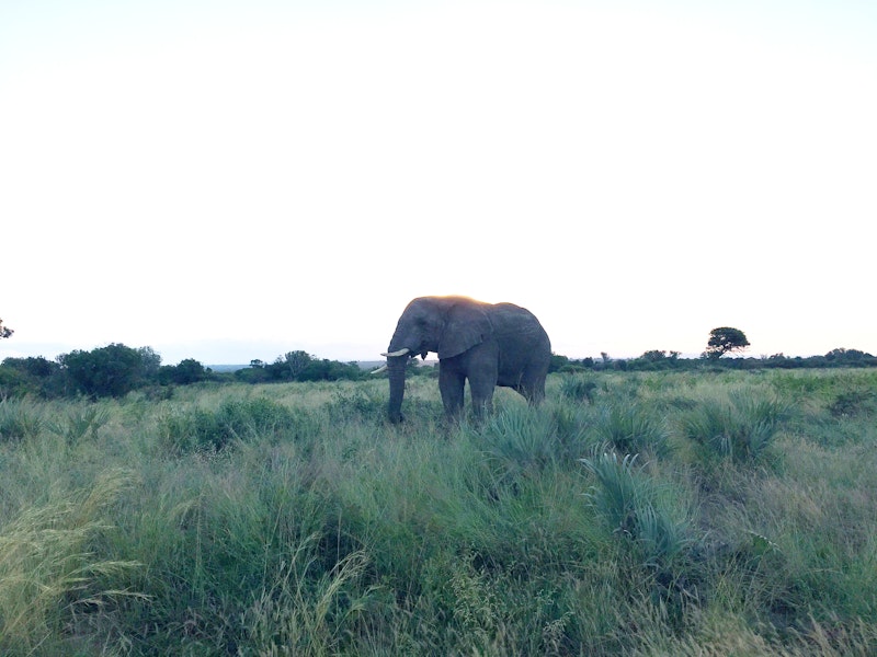 South Africa Immersion Study Visit 7 of 11