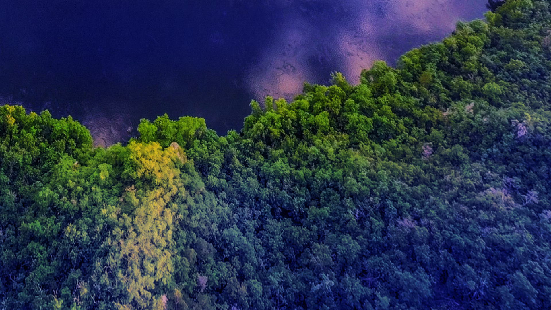 Sustainable Finance for Directors