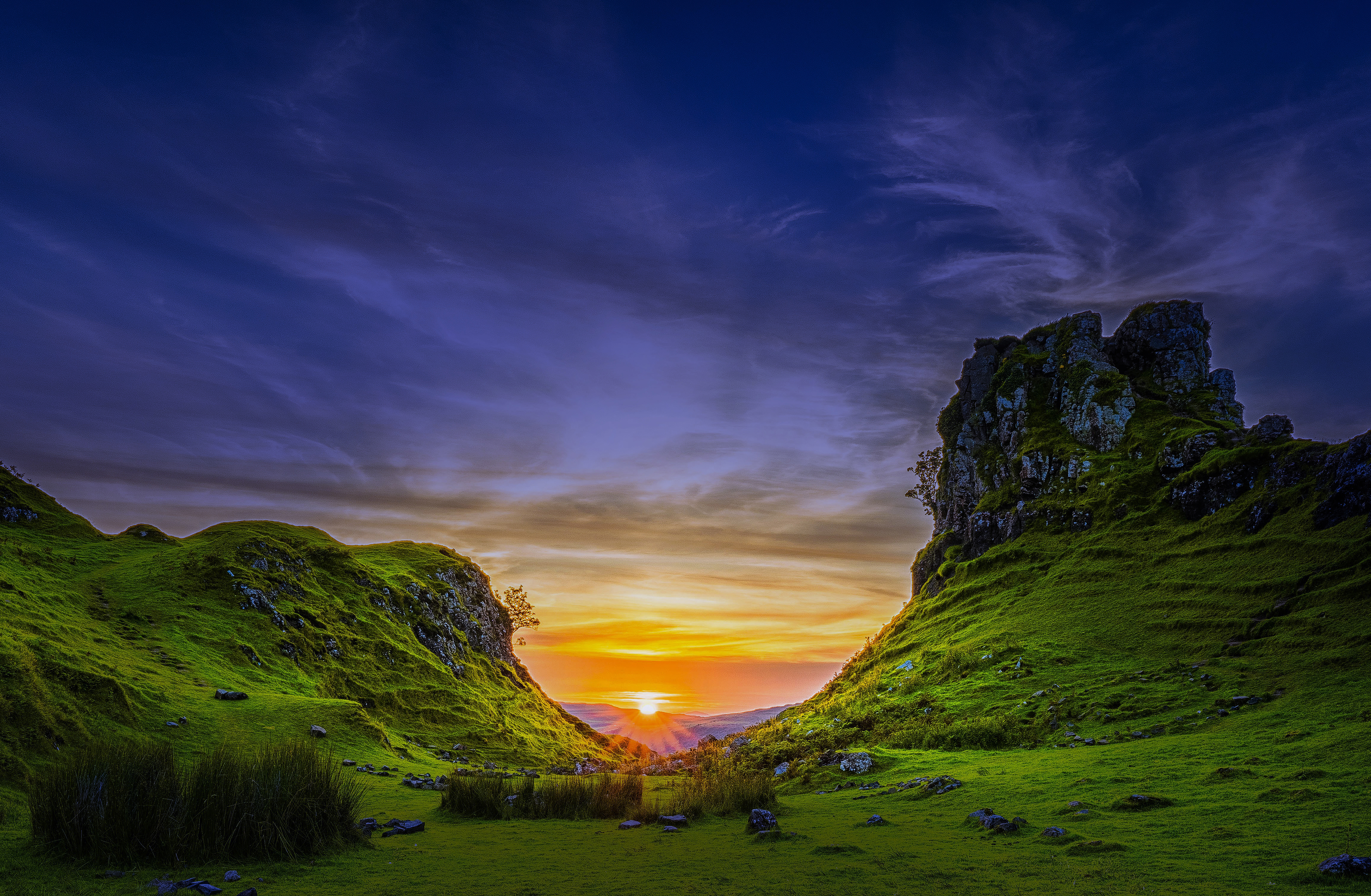 Executive Education: Open Programmes