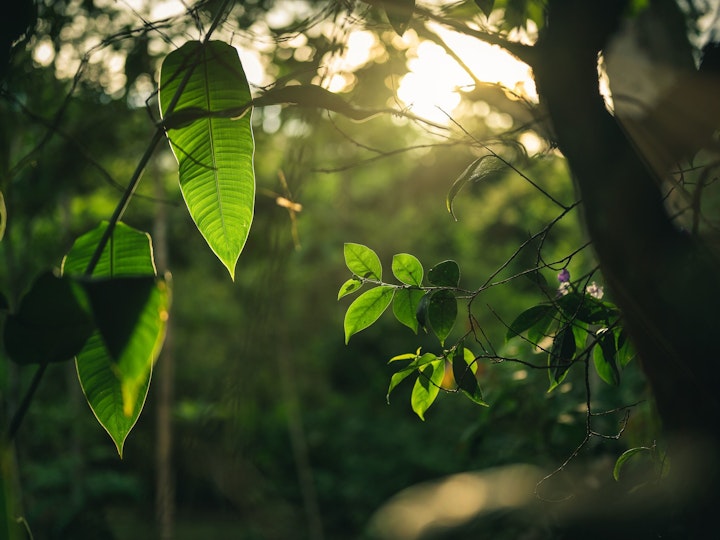 Corporate Development