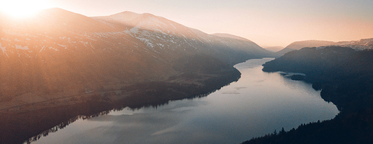 Corporate Development programmes