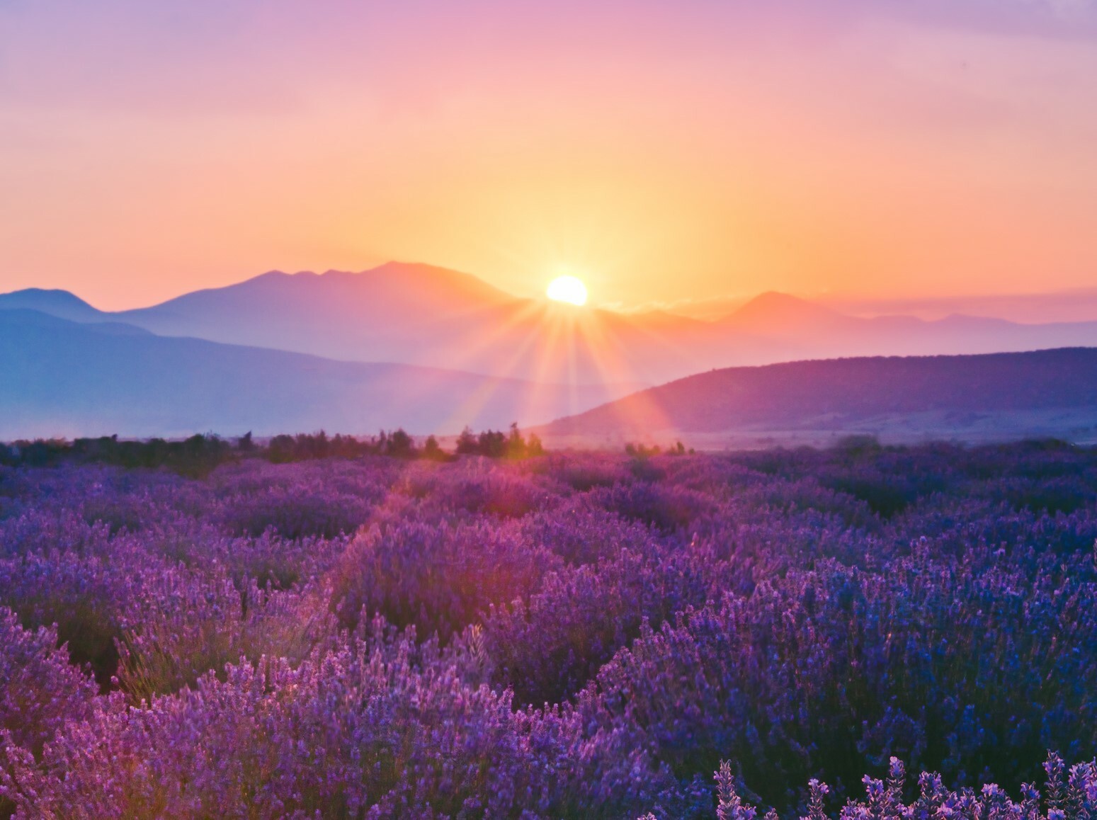 Professional Certificate in Advanced Coaching Practice