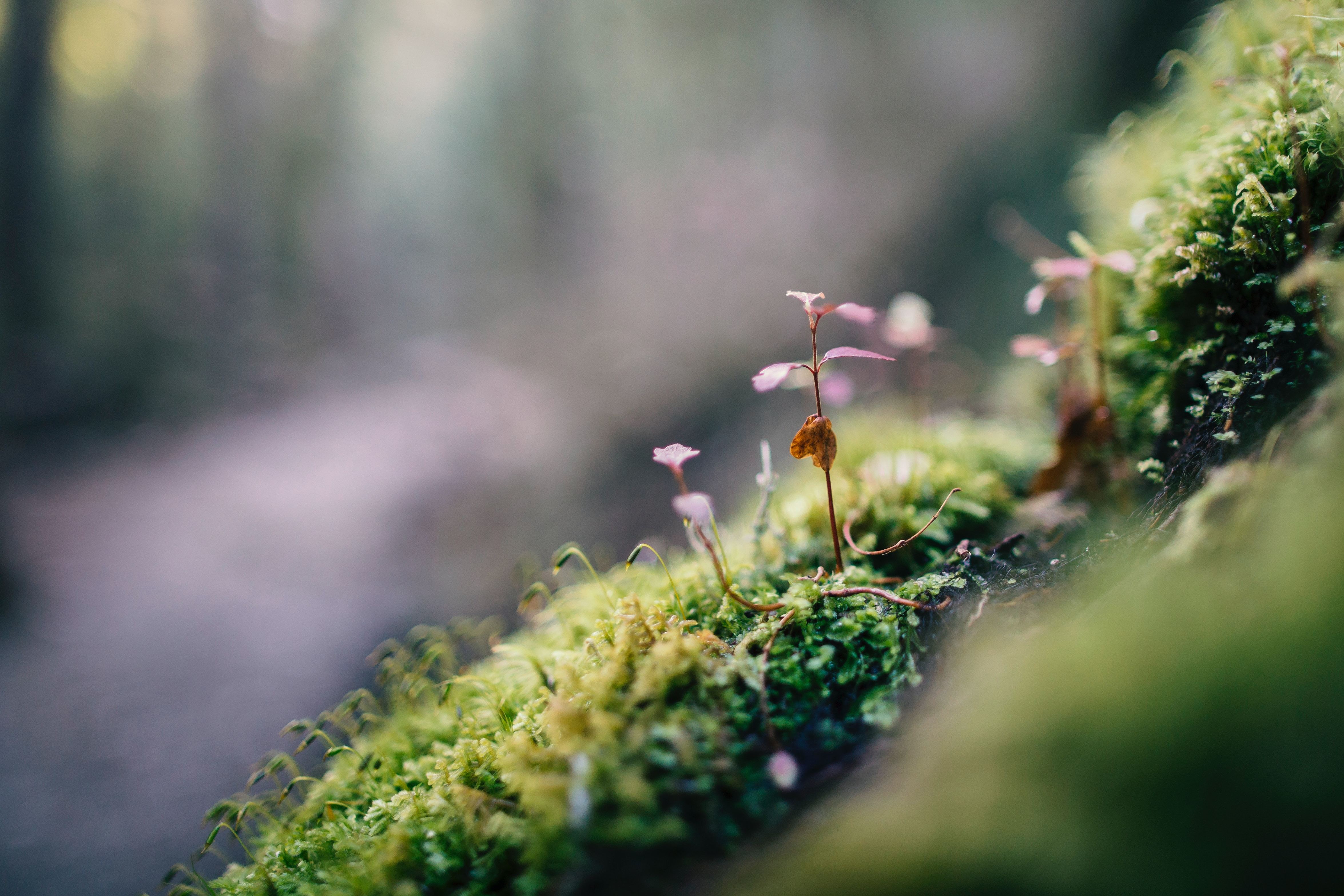 Custom programmes and consultancy