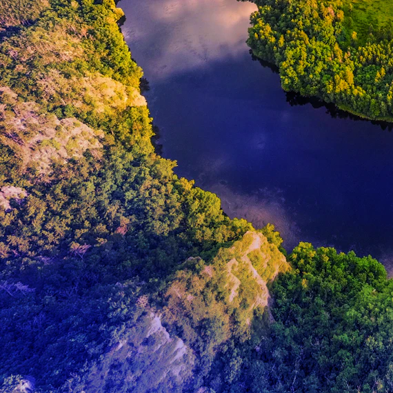 Digital Intelligence for Directors | Henley Business School