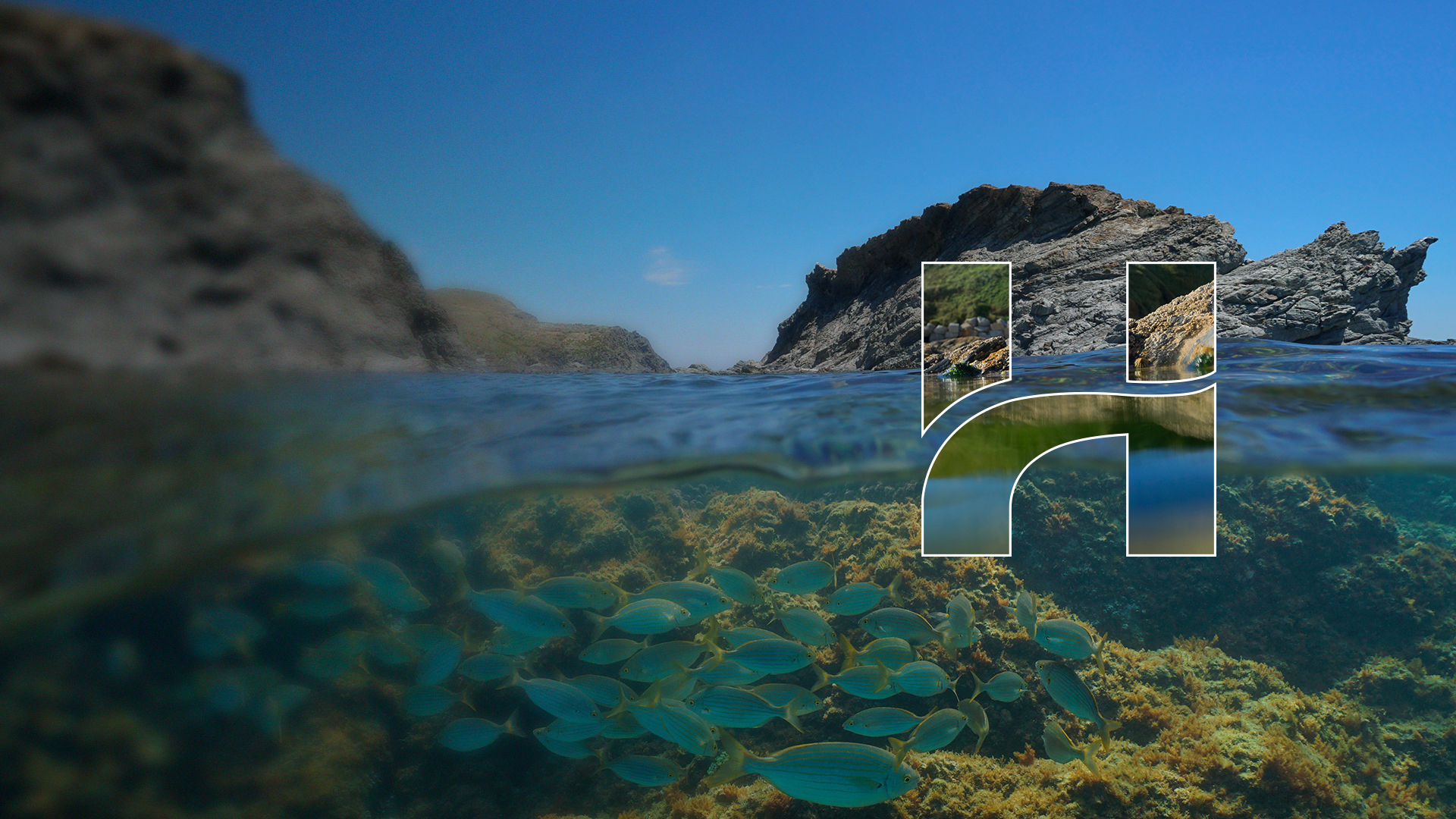 HL117 People Organisational Change Programme Banner Nature Desktop