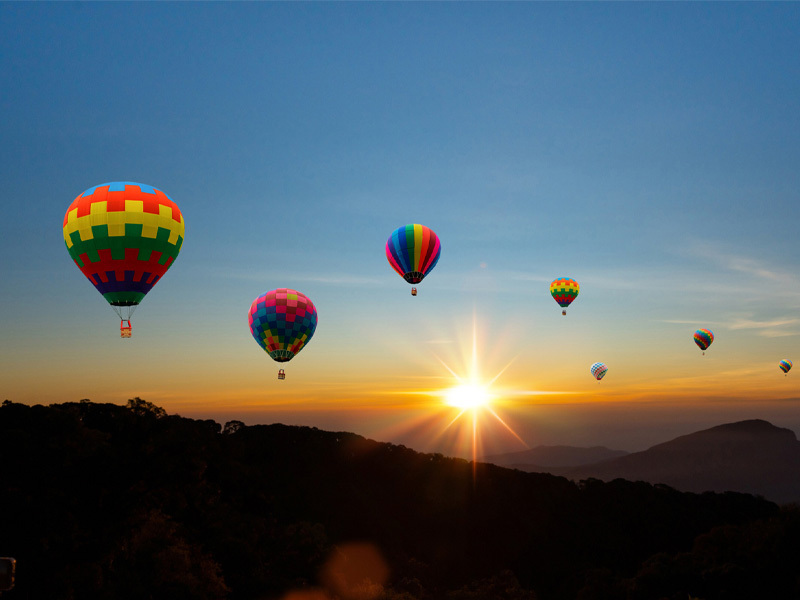 Leading Impact Cover