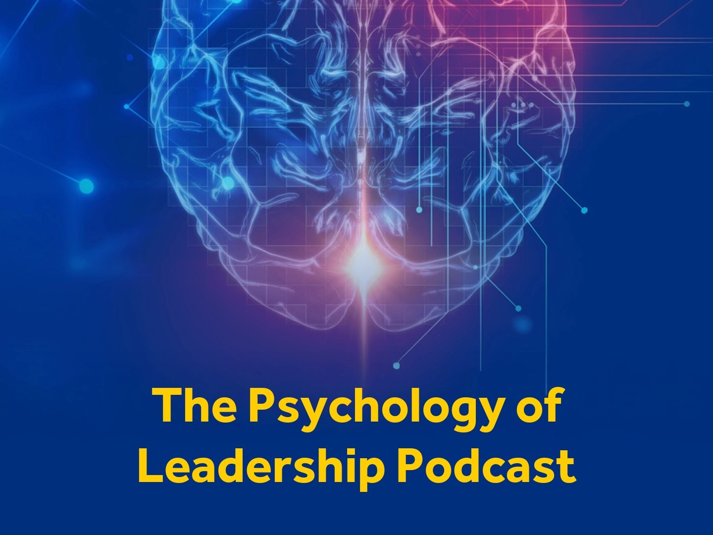 Psychology of leadership 3