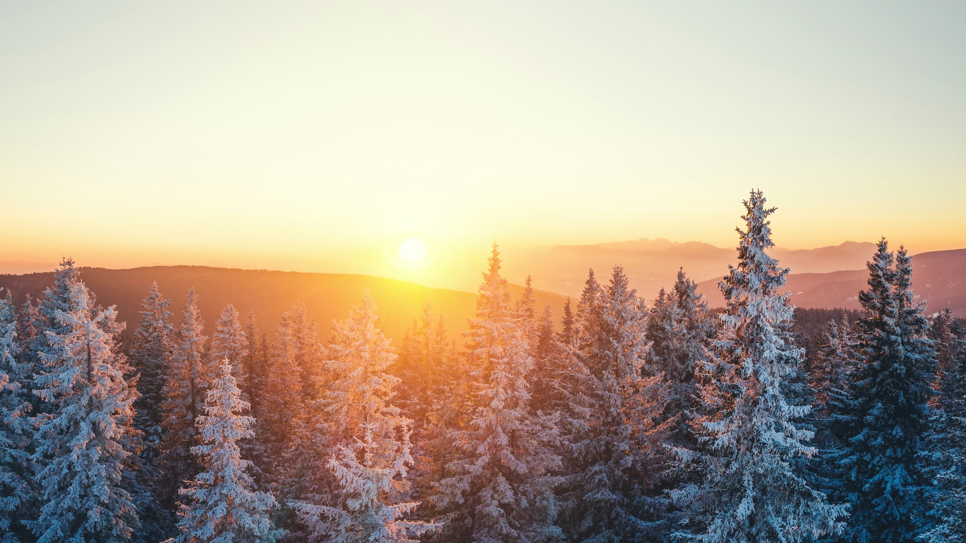Winter dawn - Henley homepage