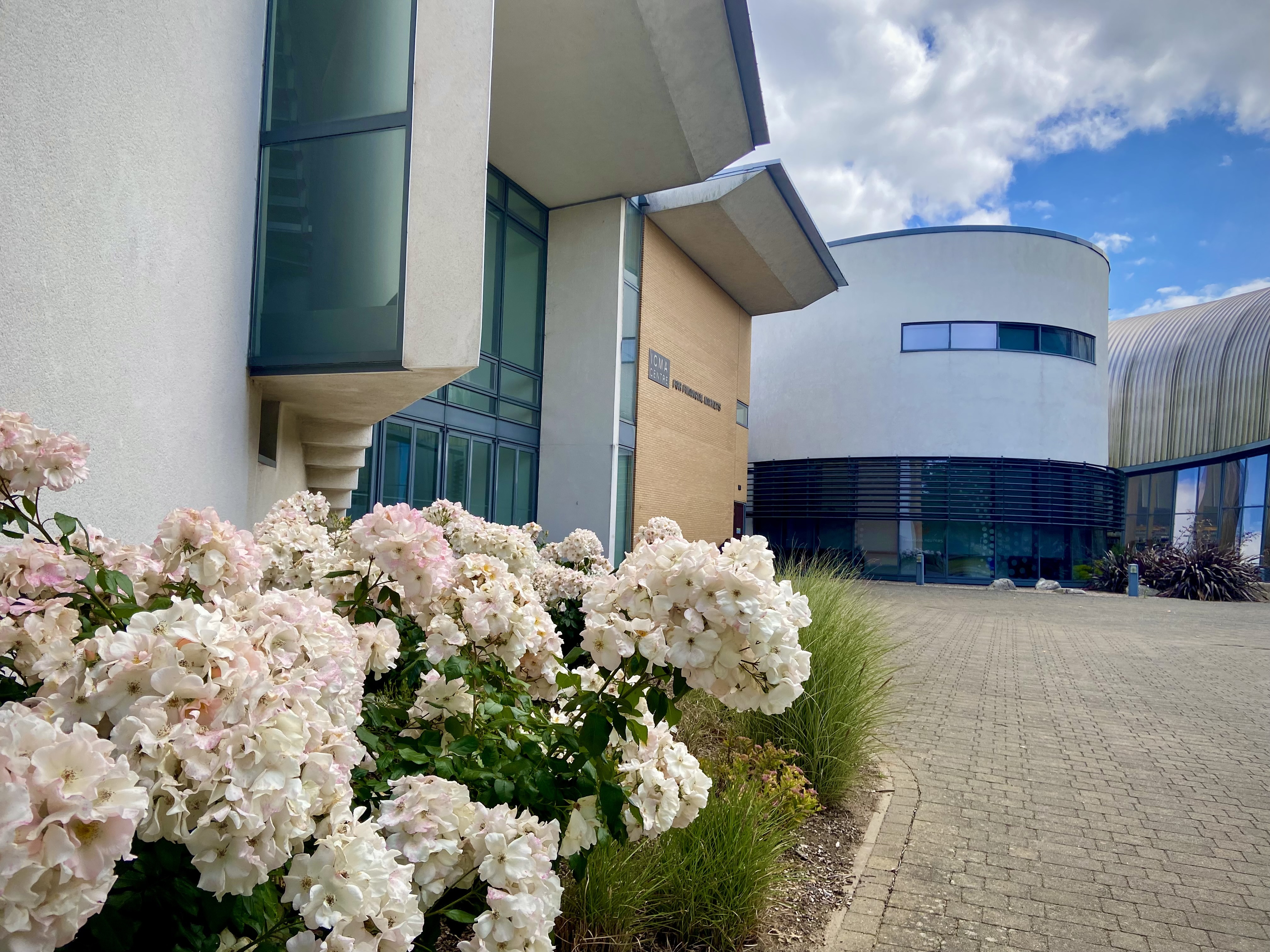 ICMA Centre flowers Copy