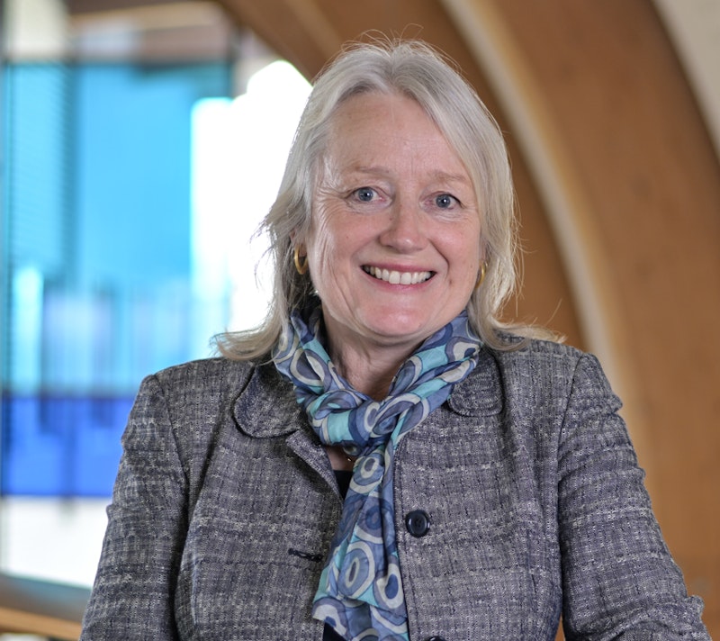 Professor Elizabeth Houldsworth
