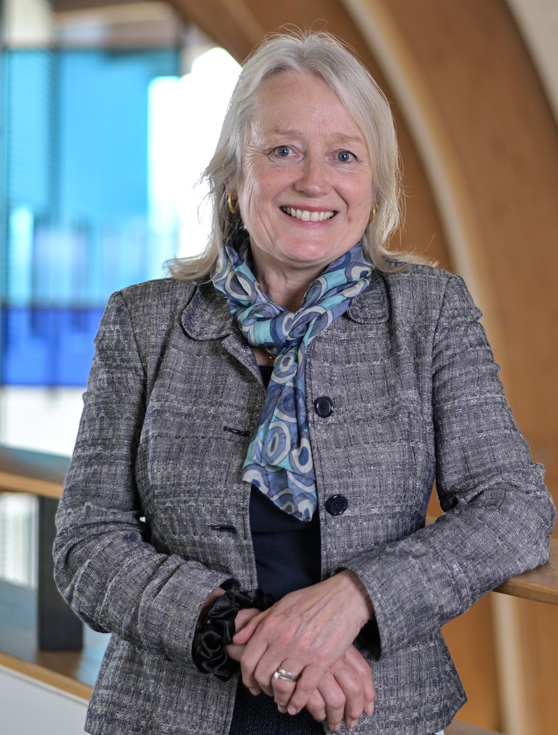 Professor Elizabeth Houldsworth